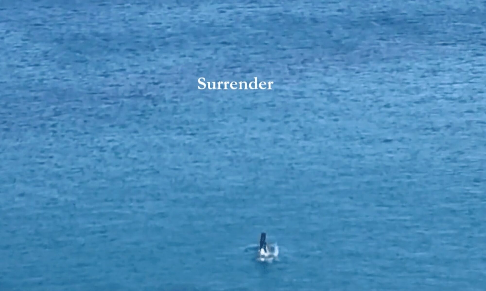 Blurry zoomed in photo of the sea. Two legs can be seen diving in the blue